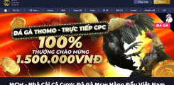 MCW - Nhà Cái Cá Cược Đá Gà Mcw Hàng Đầu Việt Nam